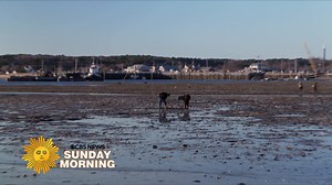 28K views · 380 reactions | In the chill of winter, when most tourists have migrated, you'll find professional and amateur shellfishers alike uncovering oysters from the waters of Cape Cod Bay. Correspondent Seth Doane returns home to Massachusetts, where his father, Paul, an 11th-generation Cape Codder, harvests oysters by the bucket in the town of Wellfleet, to be shared with friends and family during the holiday season. https://cbsn.ws/3mPWF82 | CBS Sunday Morning | Facebook