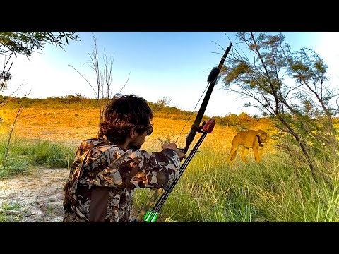 Surviving With Amazon’s Cheapest Bow & Arrow (ALONE In The Wilderness)