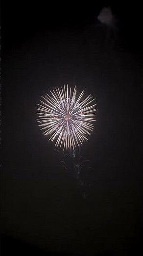 12" Display Shells Sakai Tonegawa Fireworks 2023 #japan #利根川大花火大会 #尺玉