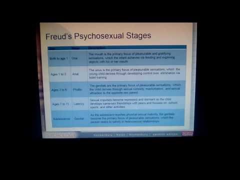 Freud's Psychosexual Stages of Personality Development