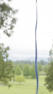 Some STABLE BRAID™ to add a little color to your day. #samsonrope #sustainabilty #arboristskills #treeclimbinggear #treeclimbing | Samson Rope Technologies