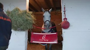 119K views · 6.4K reactions | SOUND ON: Soup and Sandwich #ASMR | Kentucky Derby | Facebook