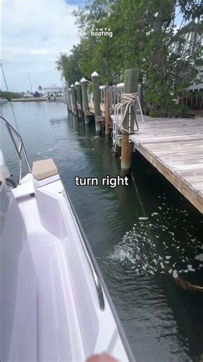 POV: you don’t need to PUSH anymore