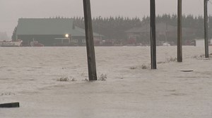 9K views · 84 reactions | Heavy rain and a melting snowpack could mean more flooding in the Fraser Valley. Abbotsford Mayor Henry Braun discusses how the city is preparing for the flood risk. https://globalnews.ca/news/8503269/atmospheric-river-bc-south-coast-tuesday/ | Global BC | Facebook