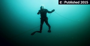 ‘Diving for Scallops’