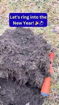 Let’s ring into the new year! 🎉💍 #metaldetecting #minelabmanticore #treasurehunting