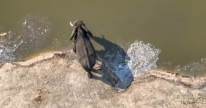 NatureEye lets online users fly real drones over amazing places