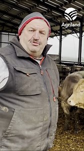 1.8K views · 40 reactions | In an exclusive interview with Agriland, a former livestock chair of the Irish Farmers’ Association (IFA) and former vice president of the organisation, Derek Deane, has criticised what he believes is the farm organisation’s lack of action on addressing the exodus of farmers from the suckler sector. | Agriland.ie | Facebook