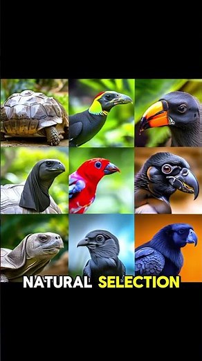 5 Unique Facts About Charles Darwin