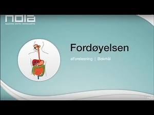 Fordøyelsen