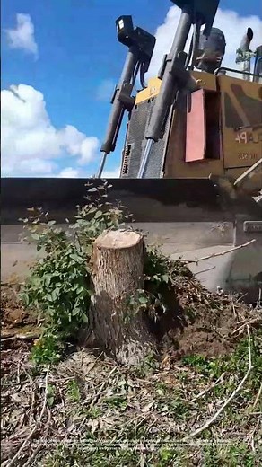 Clearing the Way: How Heavy Machinery Shapes Landscapes for New Beginnings