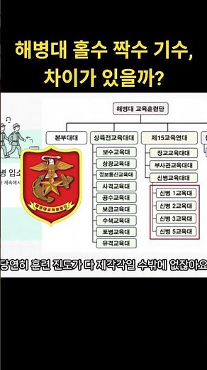 저주받은 기수? 해병대 '홀짝'의 소름돋는 비밀#지금은의미없다는