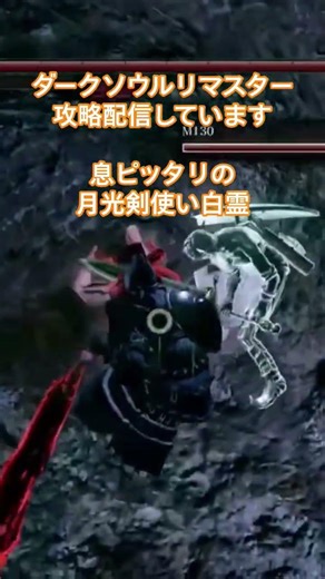 The perfectly synchronized Moonlight Sword User White Spirit #DarkSouls #FromSoftware #EldenRing ...