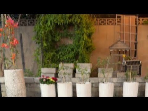 Làm nửa cái vườn