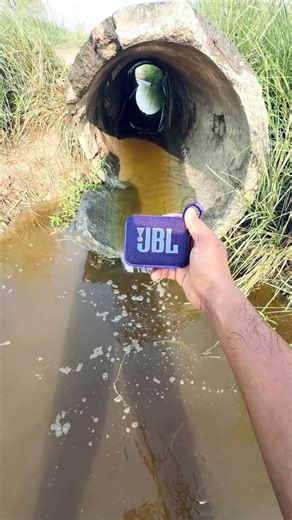 JBL go4 round round sing dong