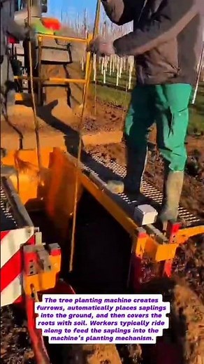 Automated Tree Planting: Revolutionizing Reforestation?