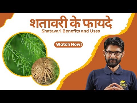 शतावरी के फायदे | Shatavari Benefits and Uses | Ayurveda Amrutam
