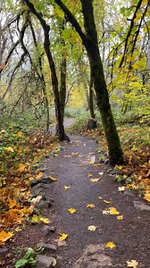 Fleeting moments 🍂🍁🤍 | Sable Rae Art