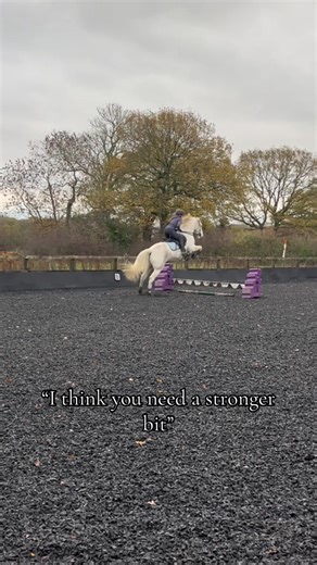 Benefits of Bitless Bridles for Horses