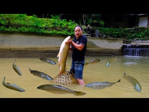 Incredible Primitive Skills - Catching the Biggest Pond Fish of a Lifetime