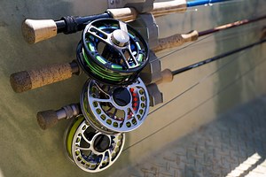 Tools of the Trade: TFO Reel Rundown - Temple Fork Outfitters