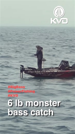 Memorable catch from the 2023 Major League Fishing Bass Pro Shops Tour. 6 pound hawg! Strike King Lure Company Lew's Toyota USA Humminbird Costa Sunglasses YETI Minn Kota Mercury Marine T-H Marine Supplies Mossy Oak Fishing Nitro Boats Mossy Oak T&H Marine #fishingislife #bassfishing #PowerFishing #bigbass | Kevin VanDam