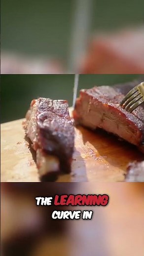 Weber vs Traeger Smoker User Reviews!