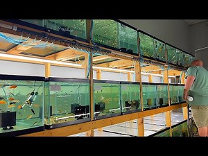 HE TURNED HIS GARAGE INTO FISH STORE! *FISH STORE TOUR*