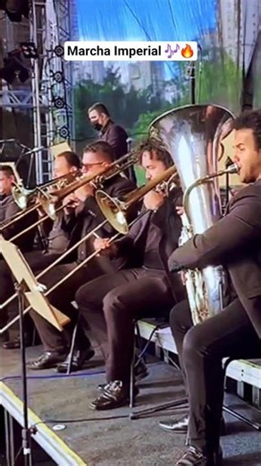 The Imperial March #classicalmusic #clips #trombone #music #viral #orchestra #viralvideo #video