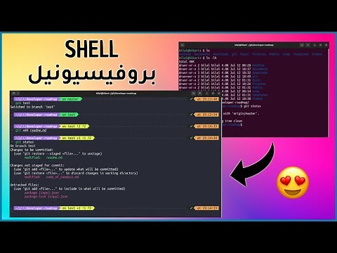Zsh With Oh My Zsh and Powerlevel10k + Dracula theme بروفيسيونيل SHELL (Darija)