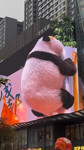 2K views · 30 reactions | A mesmerizing 3D display of a giant panda in southwest China’s Chengdu city has taken the internet by storm. The lifelike panda appears to leap out from the screen, with many spectators saying the display looks too realistic. #3d #visualdisplay #giantpanda #canyoubelieveit #OMG #socute #TikTech #ChinaCharm | CGTN China24 | Facebook