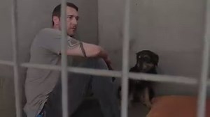 7.4K views · 844 reactions | Brandon’s work never ceases. It’s off to the shelter to save another dog! #LuckyDog | Lucky Dog | Facebook