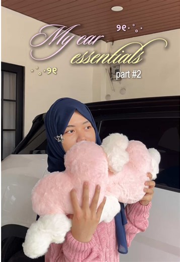 Car Essentials Unboxing and Setup - Part Two