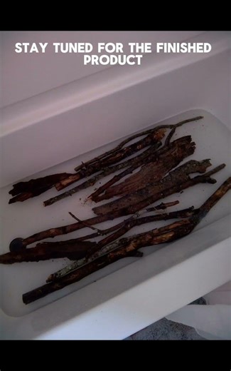 Making a crested gecko enclosure for the first time.stay tuned for the finished product.