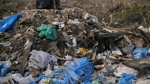 Free Homeless Videos: 4K & HD | No Watermark | Download Now