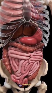 11K views · 108 reactions | 5 benefits of eating cumin seeds?樂|| #health #doctor #3danimation #broccoli #mentalhealth #selfworth #recovery #mindfulness #fitnessmotivation #fitness #selfawareness #wellness #broccoli #mentalhealth #selfworth Disclaimer: This video is for informational purposes only. The remedies shared are based on traditional practices and general experiences. Please consult a healthcare professional for any medical concerns. | Shree Jaiswal | Facebook