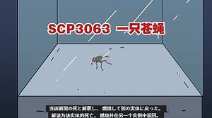 SCP-3063 - 一只苍蝇_哔哩哔哩_bilibili
