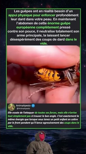 EN ROUTE VERS LA VILLE DU « NON »