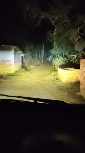 Fog light four modes testing
