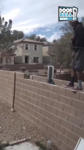 2.1K views · 43 reactions | Guard Dog Chases Off Intruder (Caught on...
