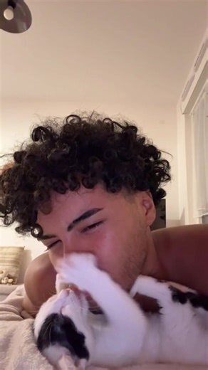 Adorable Cats Show Their Love in Cute Clips