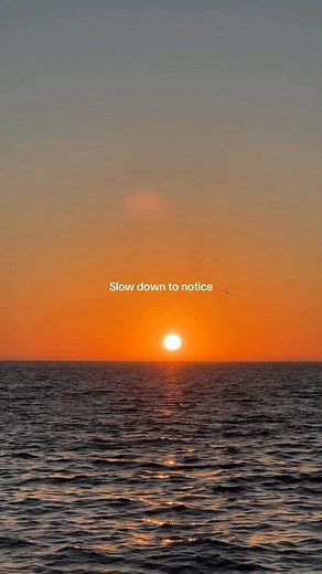 5 comments | Learning to have slow days | Syd St. Cyr | Facebook