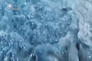 7.3M views · 147K reactions | ~SO CUTE 殺 | It's okay ツ | Facebook