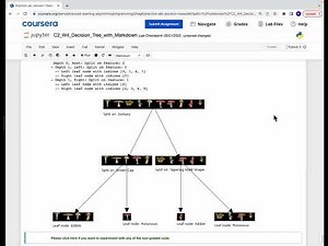 Machine Learning Coursera Practice Lab: Decision Trees