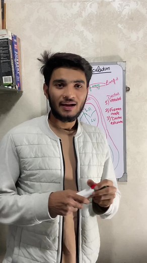 Fetal circulation #nurse #nursingnotes #fetus #nursesoftiktok #medstudent #medicalstudent #nursing #fyp