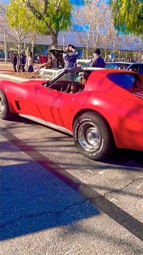Chevrolet Corvette (C3) (Corvette Stingray)