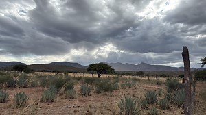 Lluvias intensas y riesgo de inundaciones en Durango por tormenta tropical Flossie: Conagua