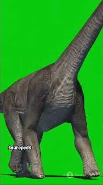 Interesting facts about Dinasours