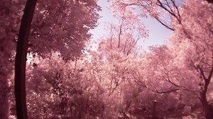 GoPro - testing a new IR filter for replacement lens