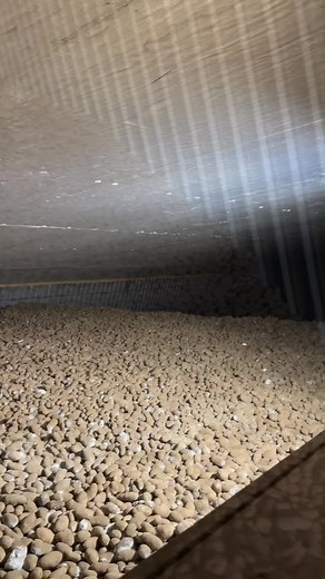 Imagine how many servings of mash potatoes these could make! Did you know that our potatoes are stored at 90% humidity? This is to prevent shrink, or moisture loss, because potatoes are 80% water. This time of year means that the potatoes we worked hard to cultivate and harvest can finally go into storage, where they stay fresh before getting shipped to our partners. | Threemile Canyon Farms